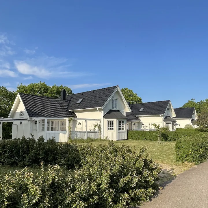 Takvårdsprojekt av Svensk Fastighetsservice